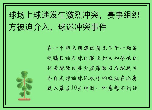 球场上球迷发生激烈冲突，赛事组织方被迫介入，球迷冲突事件