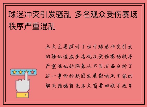 球迷冲突引发骚乱 多名观众受伤赛场秩序严重混乱